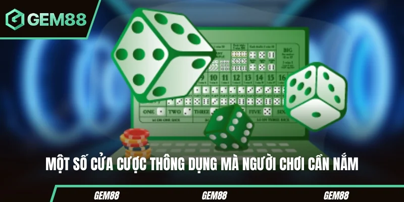 Một số cửa cược thông dụng mà người chơi cần nắm